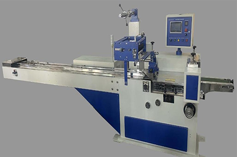 Appalam Packing Machine